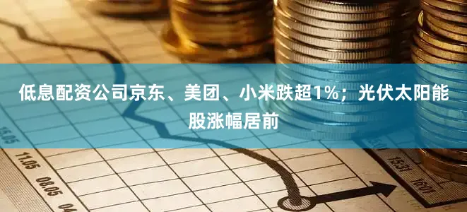 低息配资公司京东、美团、小米跌超1%；光伏太阳能股涨幅居前