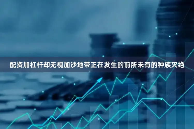 配资加杠杆却无视加沙地带正在发生的前所未有的种族灭绝