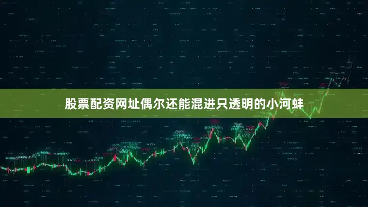股票配资网址偶尔还能混进只透明的小河蚌